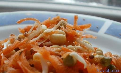 carrot and mung sprout salad